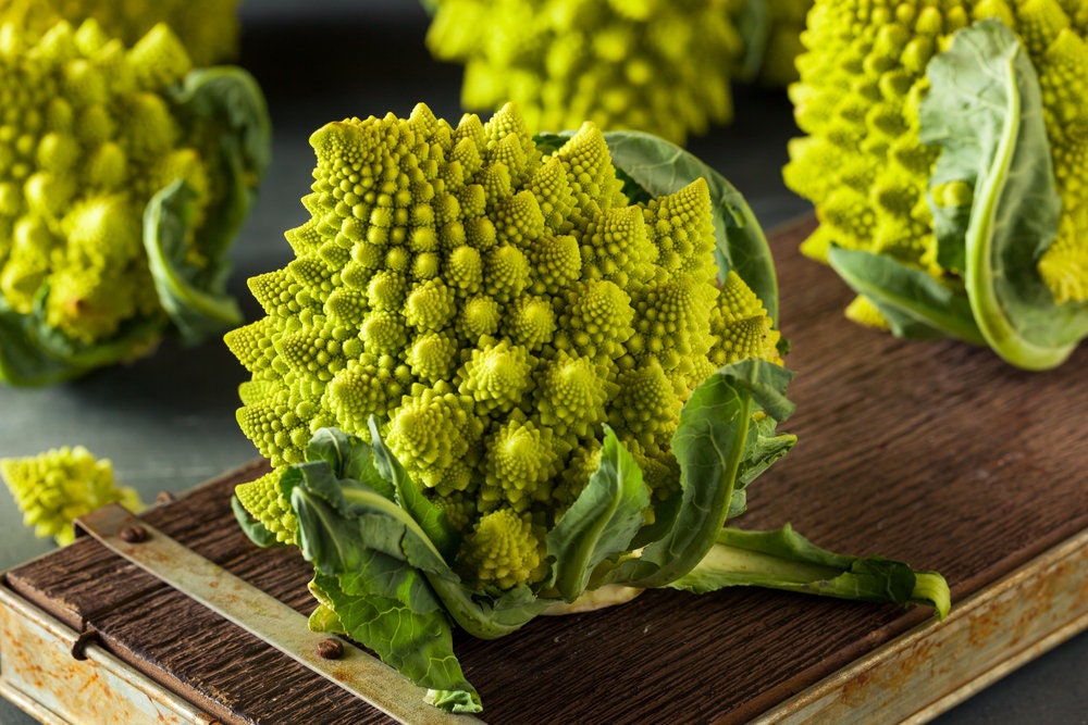 Romanesco Broccoli Seeds for Planting (Brassica oleracea) | Spiral Broccoli | Made in USA. Ships from Iowa