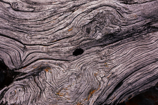 Hardwood Driftwood Poles, 36 Inches - Hardwood Driftwood with Beautiful Lines and Texture