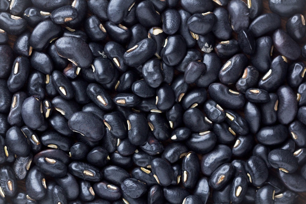 Black Beans Seeds for Planting - Easy to Grow, Very Healthy and Tasty