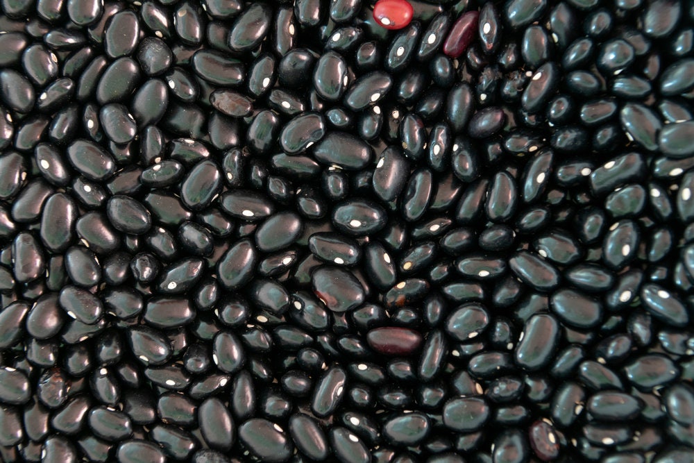 Black Beans Seeds for Planting - Easy to Grow, Very Healthy and Tasty