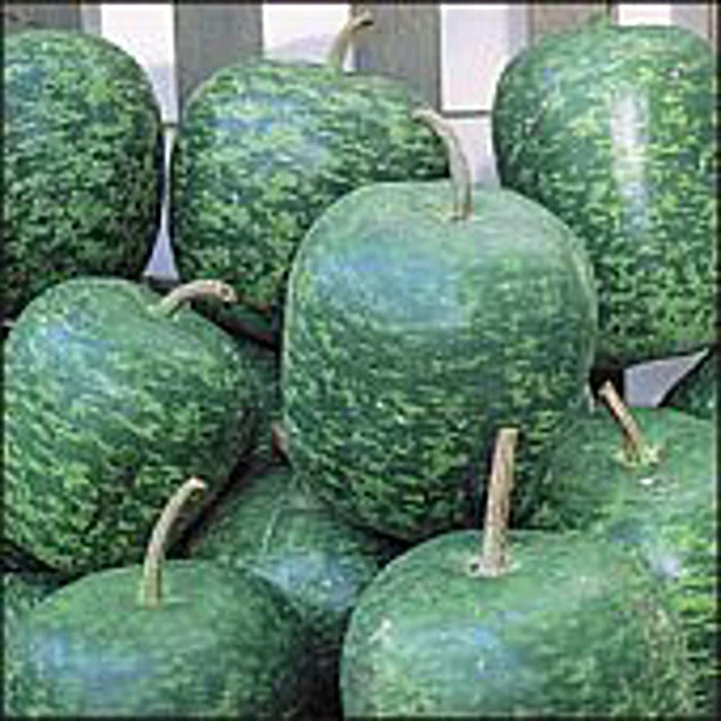 Apple Gourd Seeds for Planting - 20 Seeds - Hard Shelled Gourd, Shaped Like an Apple - Ships from Iowa, USA