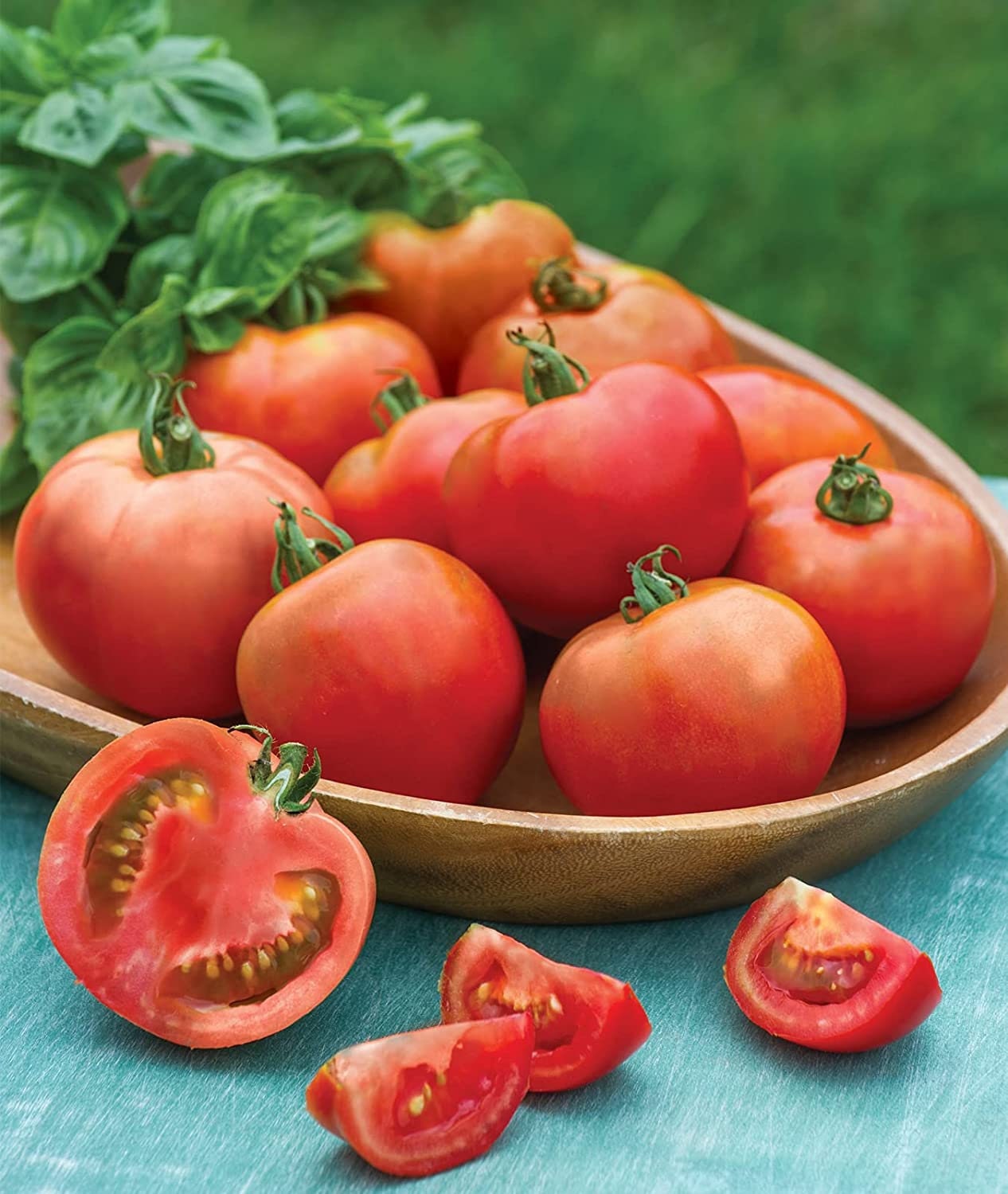 Early Girl Tomato Seeds for Planting | Harvest in 60 Days - 30 Seeds