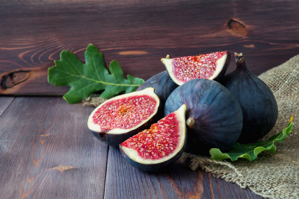 10 Edible Fig Tree Seeds - Ficus carica