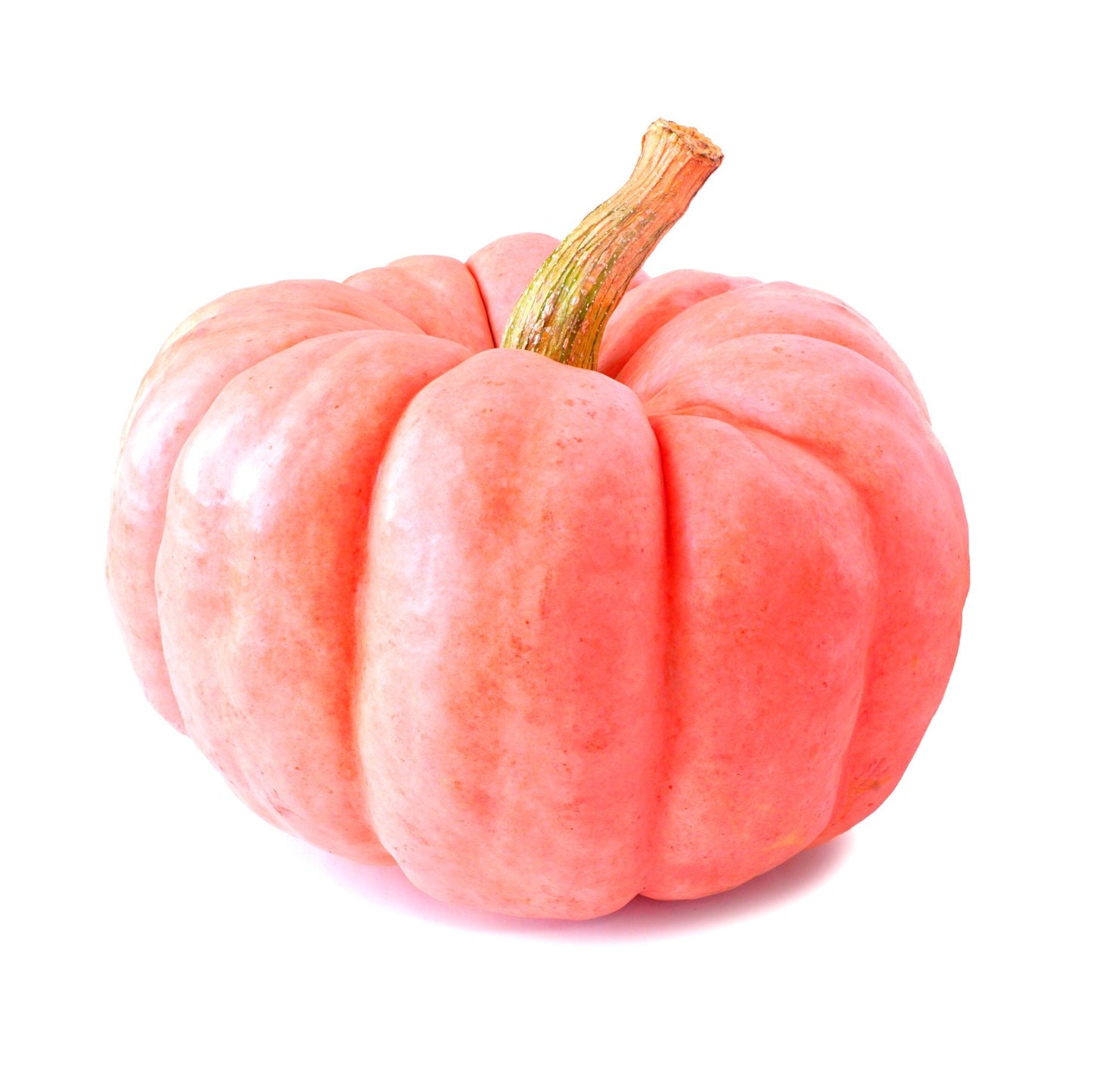 Rare Pink Pumpkin Seeds for Planting - Porcelain Doll Pumpkins - Made in USA, Ships from Iowa.