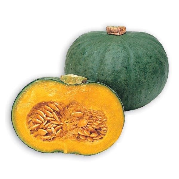 Blue Kuri Squash Seeds for Planting - 10 Seeds to Grow - Ships from Iowa, USA