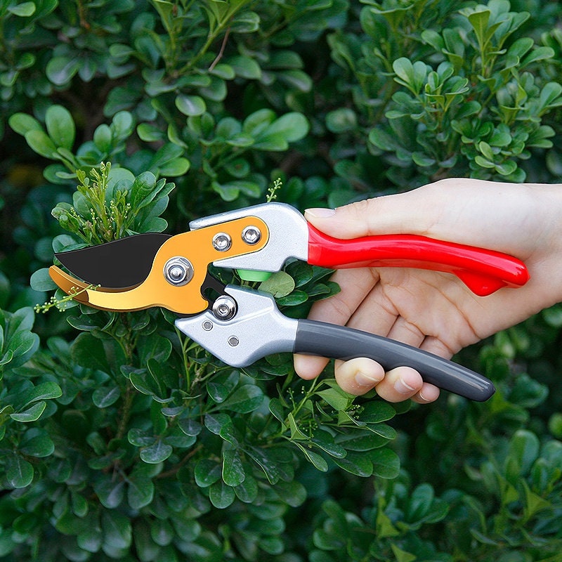 Heavy Duty Garden Bypass Shears - Cut up to 1 Inch