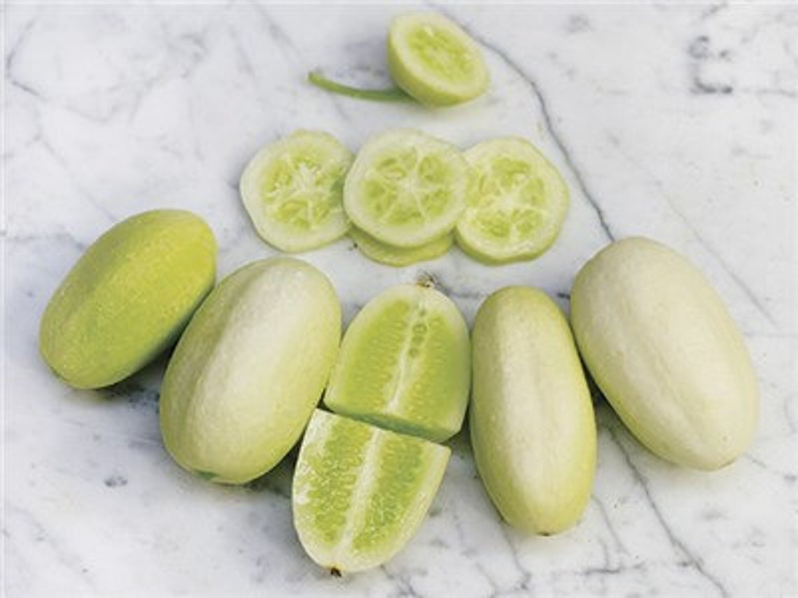 Dragon Eggs Seeds for Planting - 20 Seeds - White Cucumber Seeds - Ships from Iowa, USA