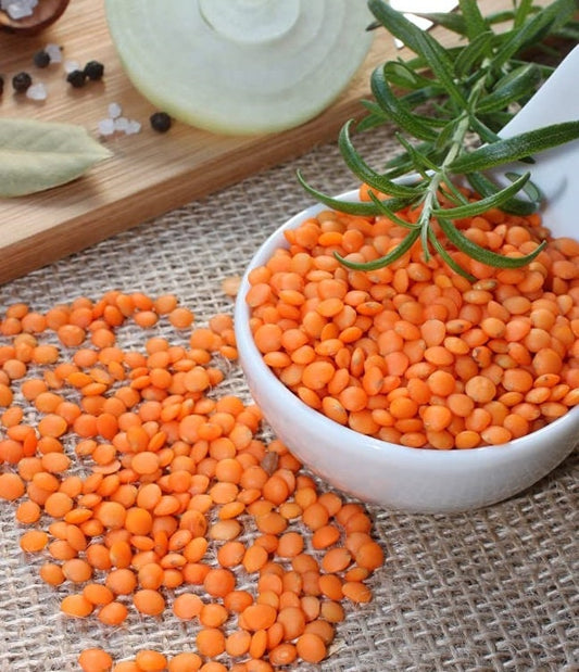 Red Lentils Plant Seeds - Grow Your Own Food
