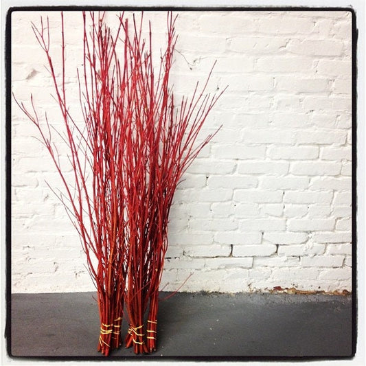 Red Dogwood Branches, Vase Filler Decor 30-36 Inches Tall - 100% All Natural, Grown and Shipped from Iowa, USA. - Vase Filler, Wedding Decor