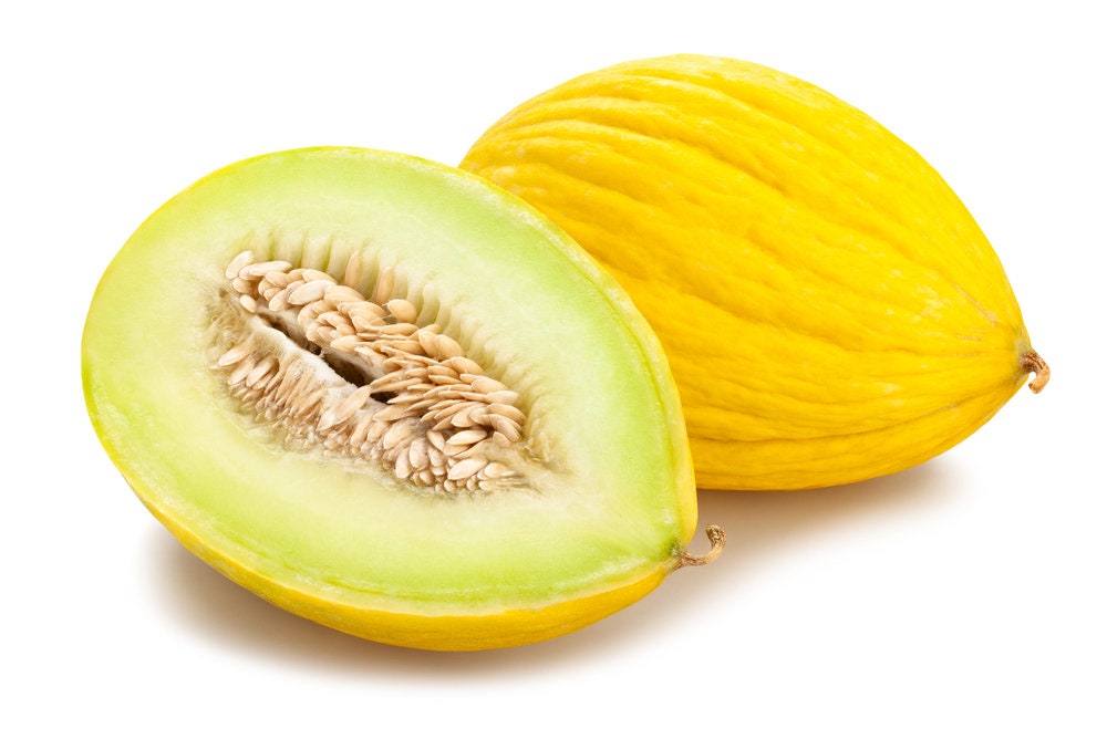 20 Golden Beauty Casaba Melon Seeds for Planting - Easy to Grow