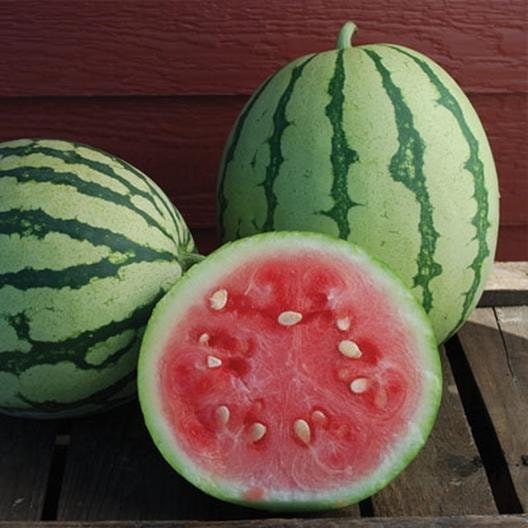 10 Queen of Dixie Watermelon Seeds for Planting - Vibrant Colored Skin and Delicious Taste