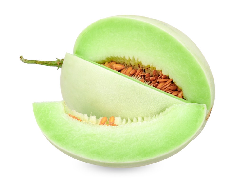 30 Green Honeydew Seeds for Planting - Delicious Melons, Easy to Grow - Made in USA