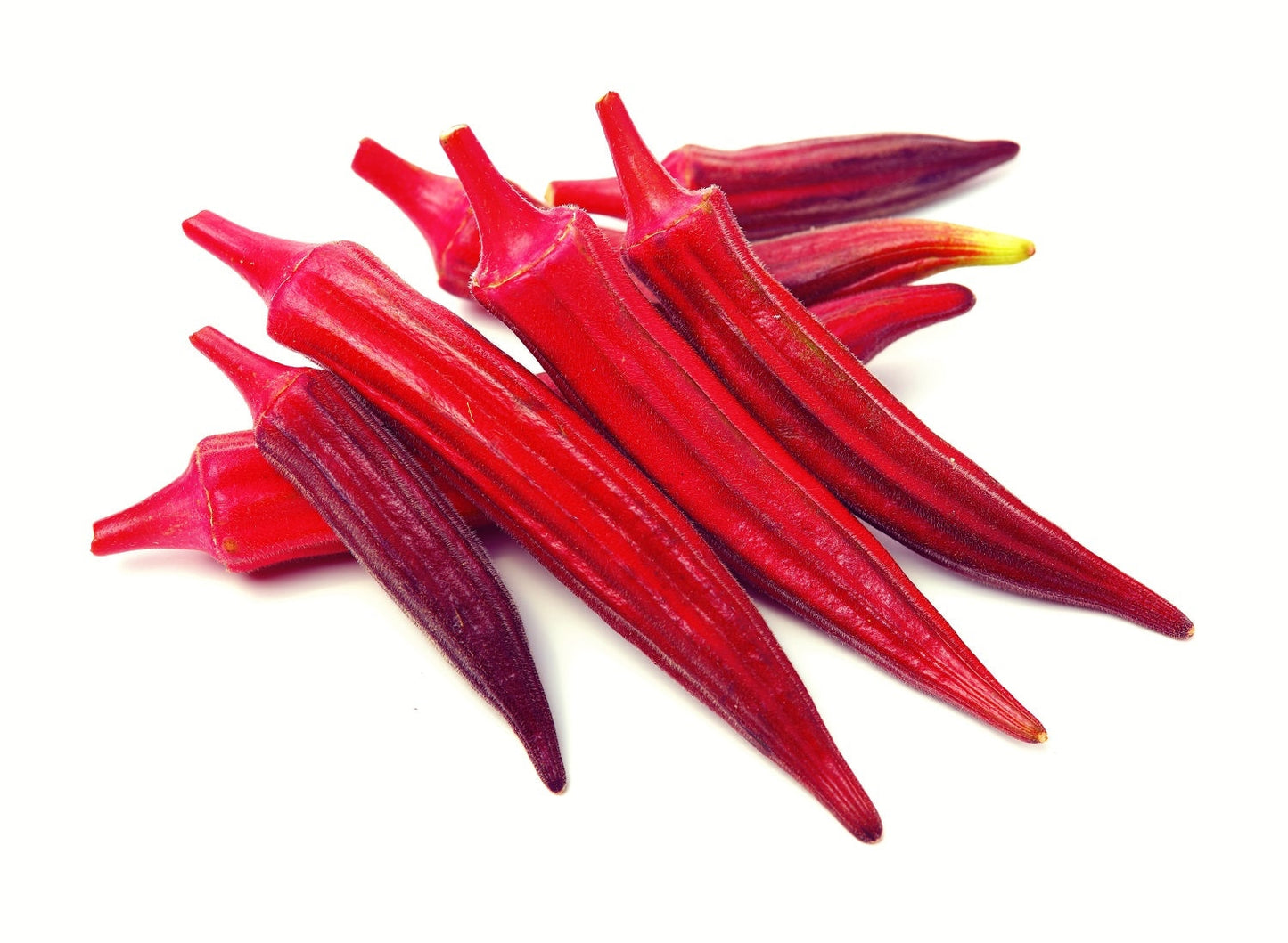 Red Burgundy Okra Seeds, 100 Heirloom Seeds Per Packet, Non GMO Seeds, Abelmoschus esculentus - Made in USA, Ships from Iowa.