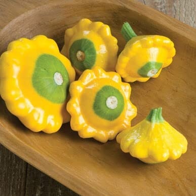 10 Y-Star Patty Pan Squash Seeds for Planting