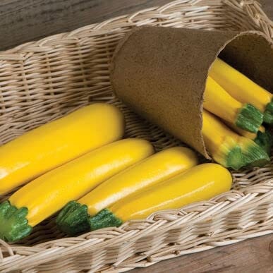 10 Goldy Squash Seeds for Planting - Beauitful Golden Zucchini Squash