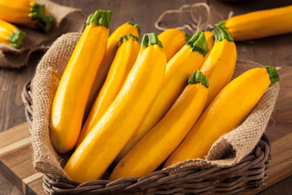 10 Goldy Squash Seeds for Planting - Beauitful Golden Zucchini Squash