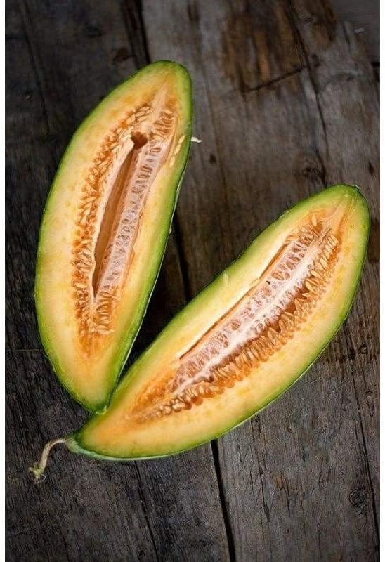 20 Banana Melon Seeds Non-GMO Heirloom Fresh Garden Seeds