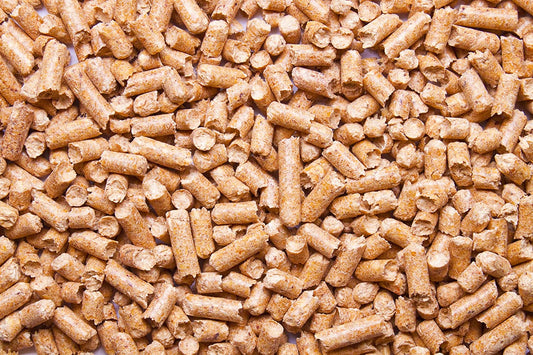 CZ Grain Tasty Layer Feed for Hens - Bite Size Pellets